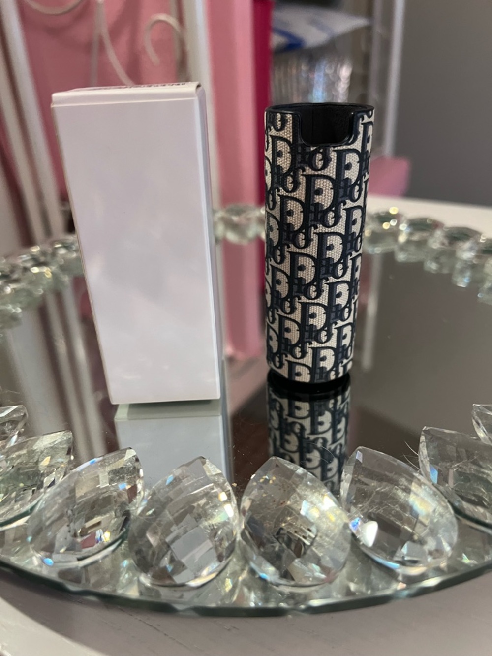 Dior Couture Travel Spray Sleeve in Oblique- Sold Out - Picture 4 of 7